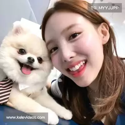 叶霏蝶